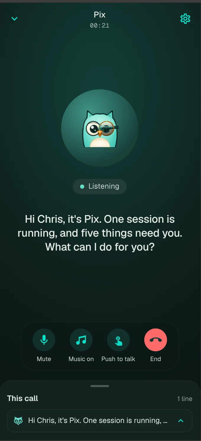 A call with Pix, with a read-back card on screen